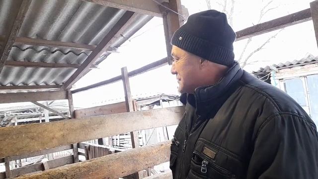 Продали быков.Итог