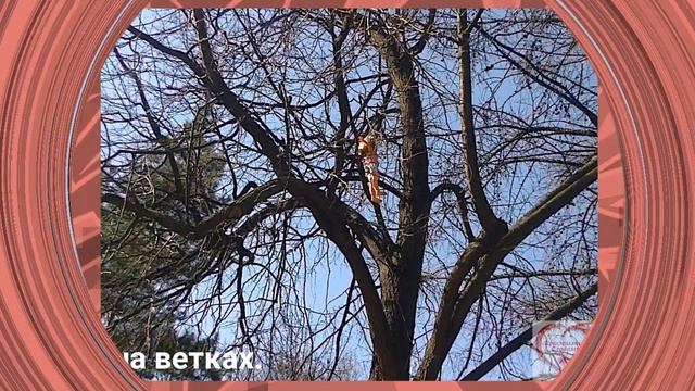 Не проходите мимо! Неожиданное и удивительное вокруг нас. Часть 4. #простымисловами смотреть онлайн