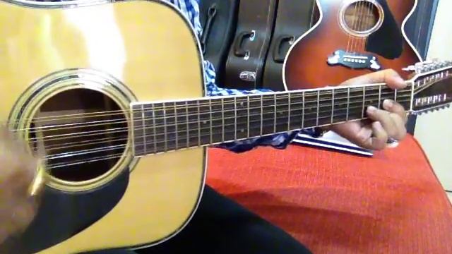 YAMAKI YW30 12string Japan