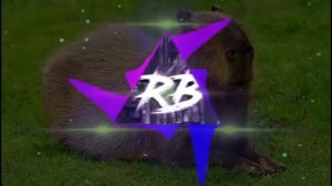 Капибара | Phonk Edition 1 час Capybara | Phonk Edition  1 hour