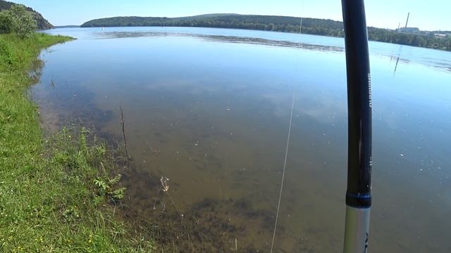Бешеный клев хариуса на Енисее. По количеству столько еще не ловил! Старые мушки не подводят! смотреть онлайн