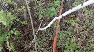 Зачётный коп с НОВЫМ ПРИБОРОМ! Боевое крещение ТХ-850!!!!