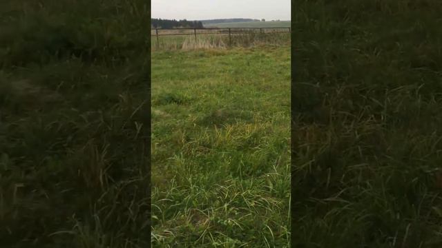 История из жизни.Что со мной произошло. Как я изменил свою жизнь смотреть онлайн