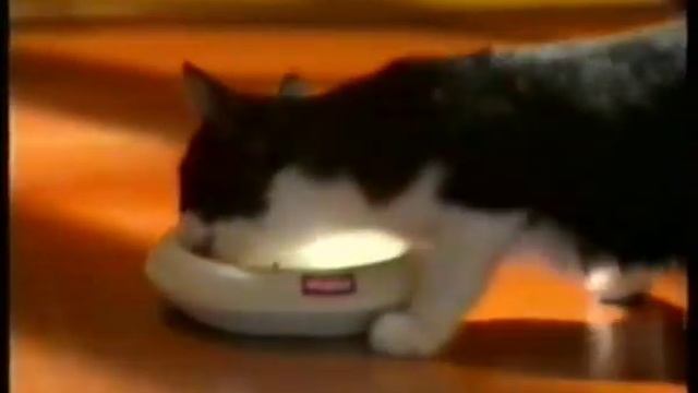 Reklama/Commercial/Werbung - Whiskas (1997) CZ