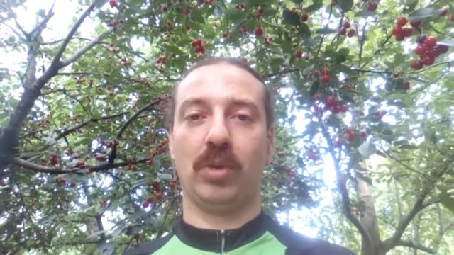 01-07-17. 3й трен.день. Программа велотренировки "100 миль в день за 12 недель" смотреть онлайн