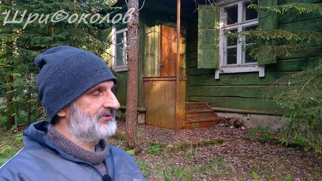 Юмор - он помощник меткий. Стих смотреть онлайн