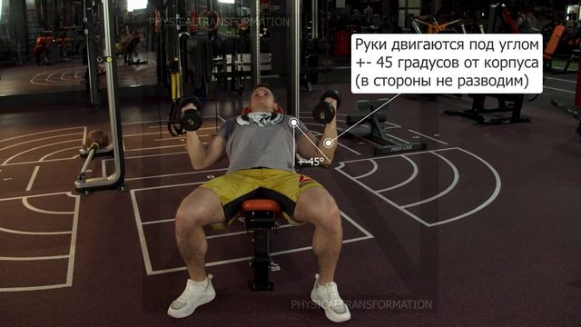 Жим с супинированным хватом на наклонной скамье (Incline Supinated Dumbbell Bench Press) смотреть онлайн