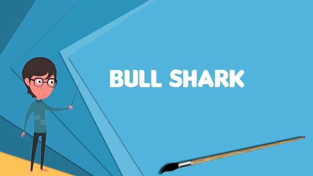 What is Bull shark? Explain Bull shark, Define Bull shark, Meaning of Bull shark смотреть онлайн