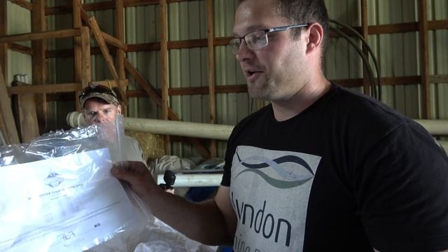 Stocking My Pond With 200 Trophy Trout (For Eating!!!) смотреть онлайн