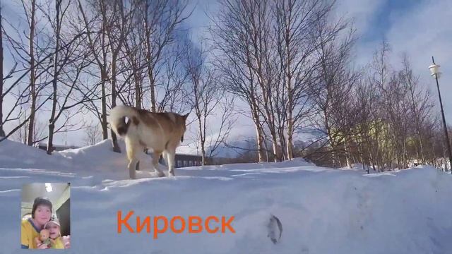 Кировск и Рыбинск/2000 тысячи километров между ними!!!! смотреть онлайн