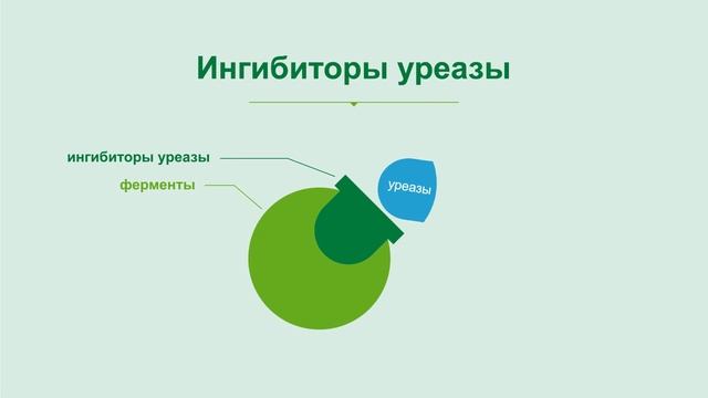Эффективность использования азота: как технологии BASF сохраняют азот в почве смотреть онлайн