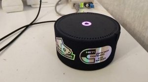 Спрашиваю у Алисы Как переводится Серая Птица на китайском