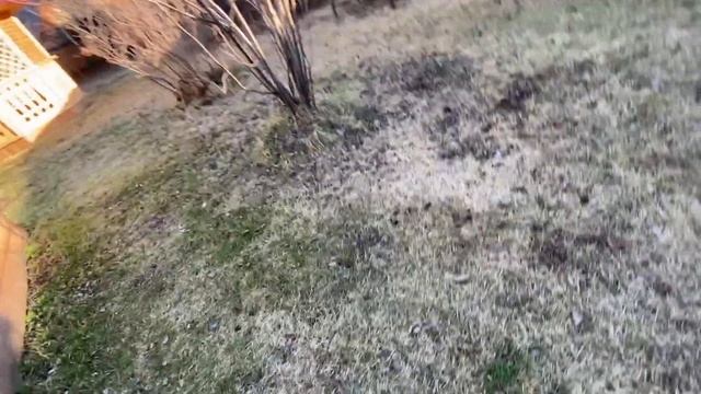 Дачное турне: обхожу владения // наша дача // опять утонули смотреть онлайн