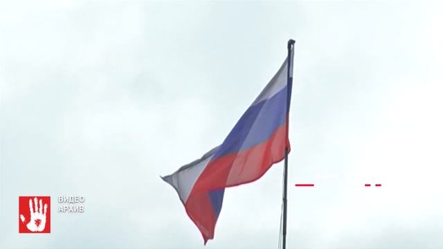 В Челябинске с водителя, который задавил собаку взыскали 120 тысяч рублей смотреть онлайн