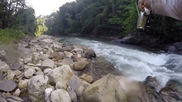 Jungle Journey #1 смотреть онлайн