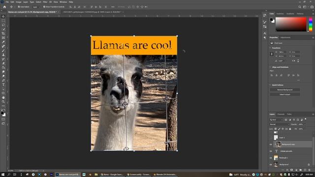 Text and Image Clipping Masks in Photoshop смотреть онлайн