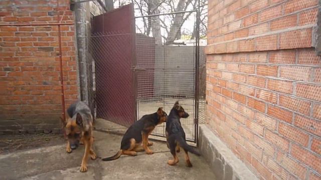 Нам 3 мес.7 дней смотреть онлайн