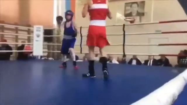 Галкин Тимофей смотреть онлайн