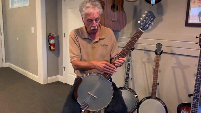 Wayne Rogers Signature Model 7-String Banjitar — WR-7 смотреть онлайн