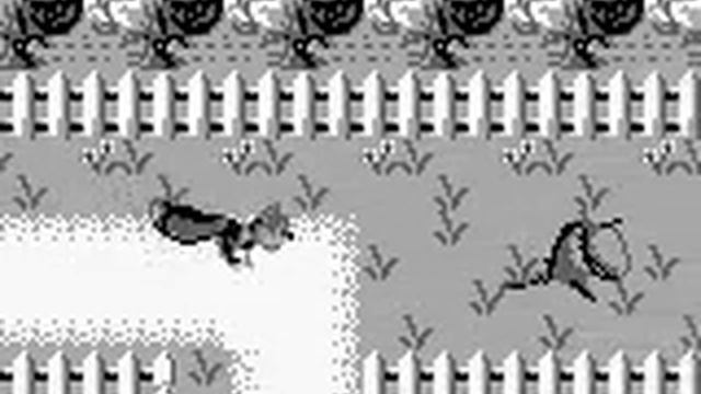 Conker's Pocket Tales Game Boy Walkthrough Part 1 смотреть онлайн