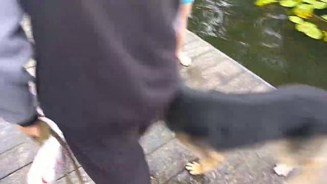 Прыжок щучка смотреть онлайн