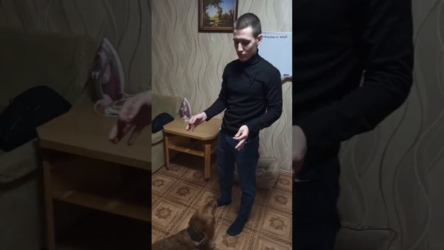 Обучение команде кувырок|Как научить собаку выполнять кувырок|ЧАСТЬ 3/3