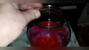 подготовка гладиолусов к посадке. Протравитель  " Максим "- использование  для гладиолусов.