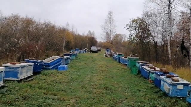 23 октября! Что-то непонятное происходит!