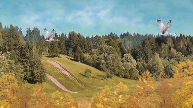 Журавли. Поет Виктор Бекк смотреть онлайн