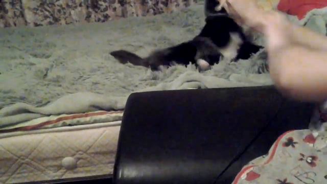 Мики и китайские палочки смотреть онлайн