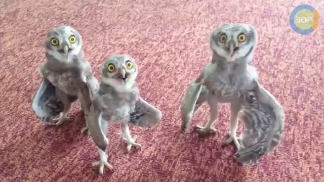 Чем занята пресс-служба по мнению руководства смотреть онлайн