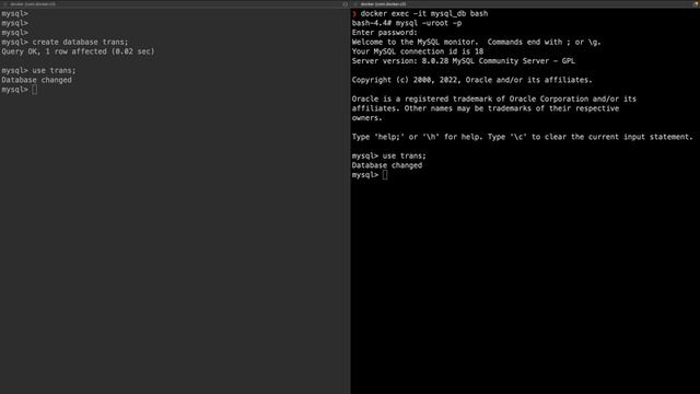 Understanding Database Transactions: Read Uncommitted Isolation level смотреть онлайн