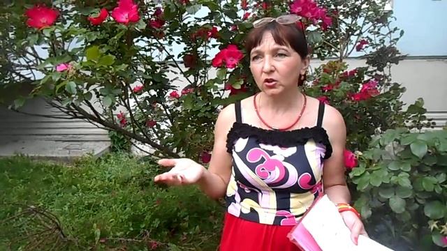 Л.Зубкова. часть 1я. Быть неудачницей на 80% или везунчиком на 20%. смотреть онлайн
