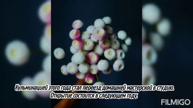 Итоги 2022г Студия Ботанической Скульптуры OlgaG