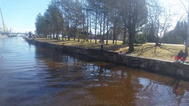 "Уклейка есть, а рыбы нету..." )) 28 апреля Муствеэ смотреть онлайн