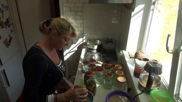 Огуречный день, рассольник в банке, огурчики песня, как бомжиха и мне хорошо, Шаповаловы влог смотреть онлайн
