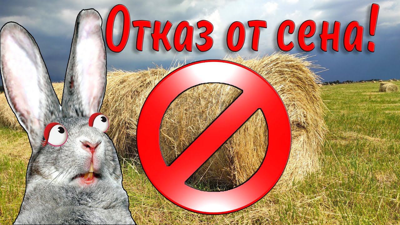 Полный отказ от сена! смотреть онлайн
