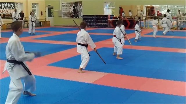 Кихон Бо но ката #Shimbukan #kobudo #dellHamby #GarmaevVeniamin