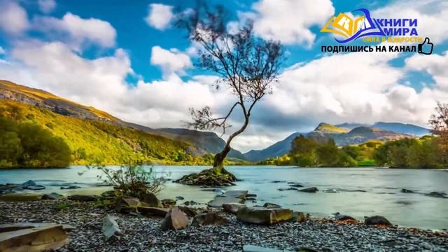 Взрывная Медитация Вскрывающая Матрицу Ума И Блокировку Души! l НИКОШО и Миркина Зинаида смотреть онлайн