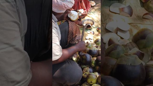 Amazing Palm Fruit cutting Skills 😎 Ice Apple смотреть онлайн