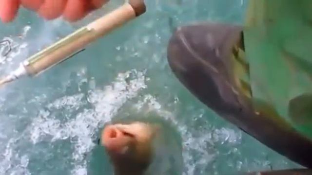 Рыбалка в Якутии весна 2017 год смотреть онлайн