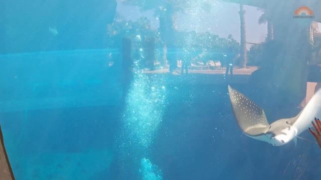 Aquaventure Waterpark Dubai UAE - All Waterslides