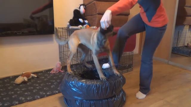 Тренировка на балланс смотреть онлайн