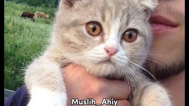 Nasheed-Нашид°|❤️🖇️🍃Яа'ь-Би Мата Хайрин - Ya'-Bi Mata khayrin💫🌱) Очень Красивый Нашид🌾))) смотреть онлайн