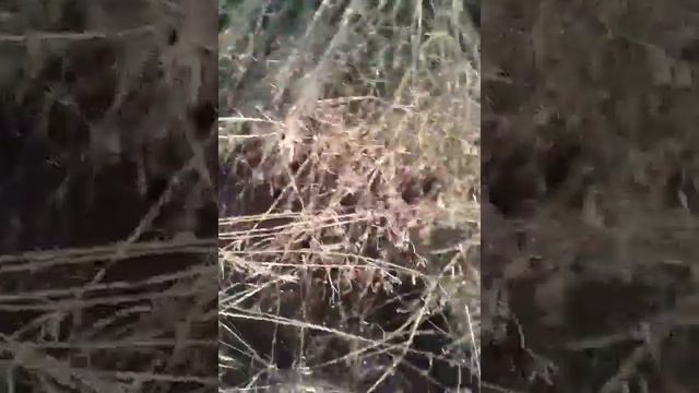 Хожу и случайно нахожу железо#2 смотреть онлайн