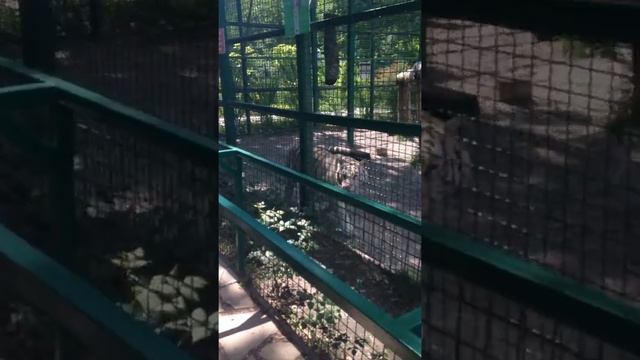 Парк Фельдмана, Харьков смотреть онлайн