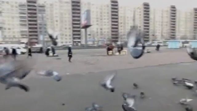 Замедленная съёмка Slow motion Casio Exilim EX-ZR1000 005 смотреть онлайн