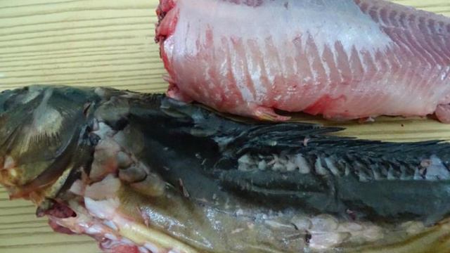 Готовим дома