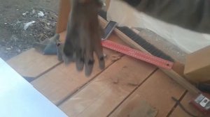 Печная труба. Защита от снега и дождя.