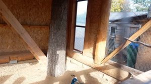 МАРМЕЛАДНОЕ ЦАРСТВО | ЛИХОСЛАВЛЬ | ЗООПАРК